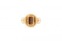 Крушка Крушка с 1 св. оранж. PSY24W 1 987 302 267 Bosch
